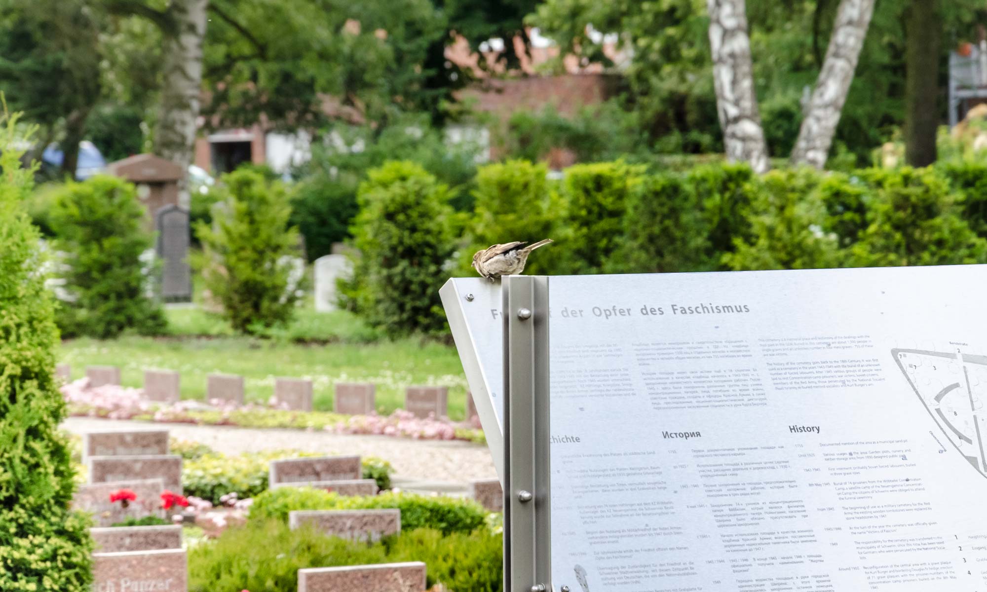 „Ehrenfriedhof Opfer des Faschismus“